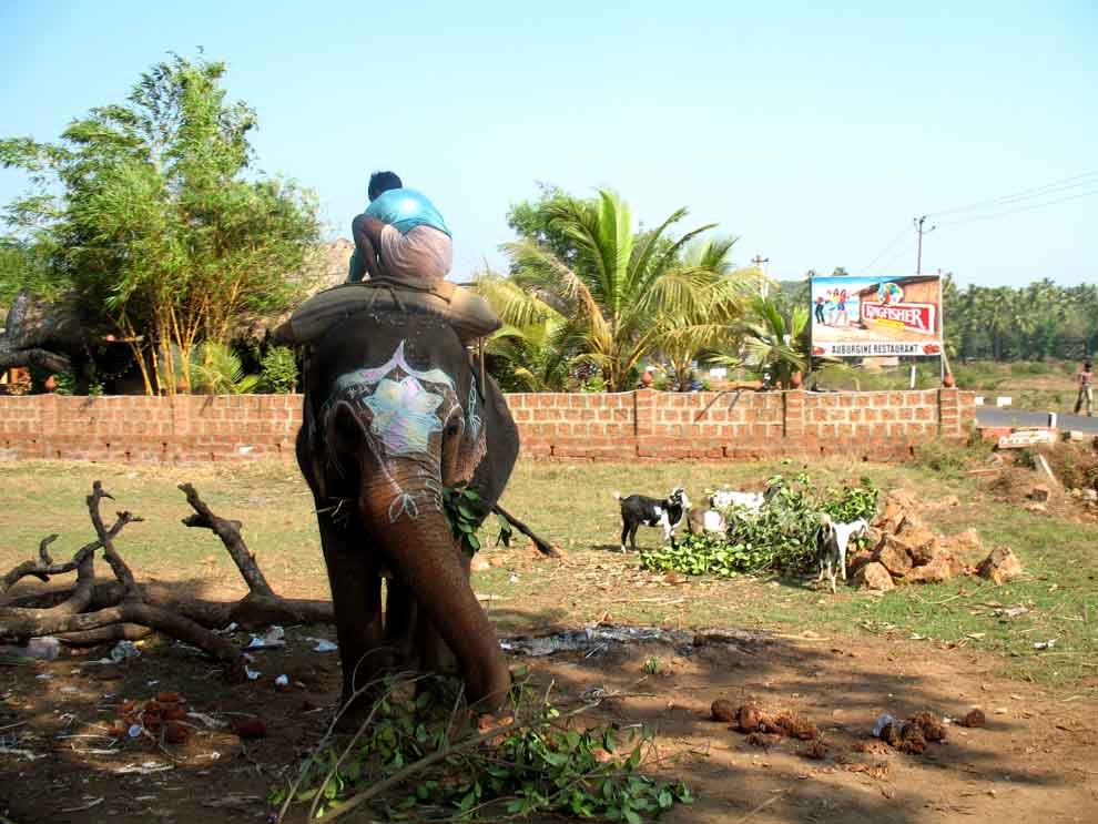 Goa: Tibetischer Schmuck und Feiern im Mambo