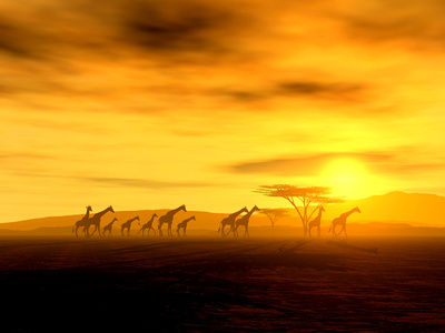 Fotosafari in Afrika