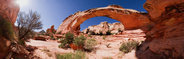Natururlaub in Kalifornien und Nationalparks der USA