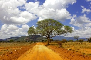 Camping Safari Namibia