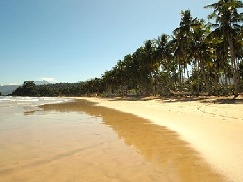 Strand tropische Insel Hawaii