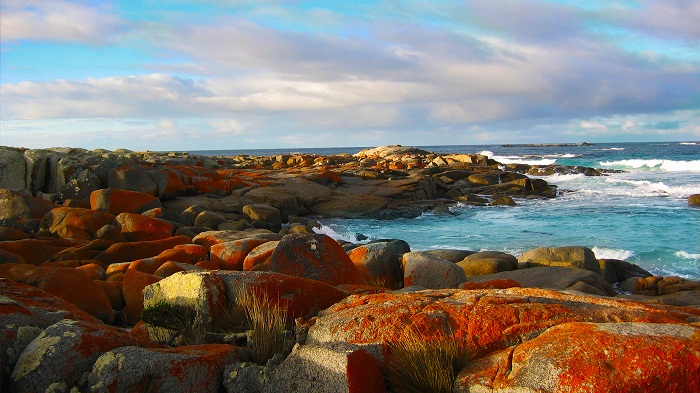 Bucht Tasmanien Australien